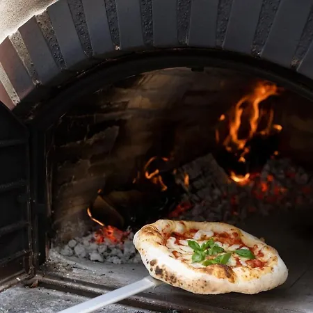 Feriehus Historische Fuer 12 Personen